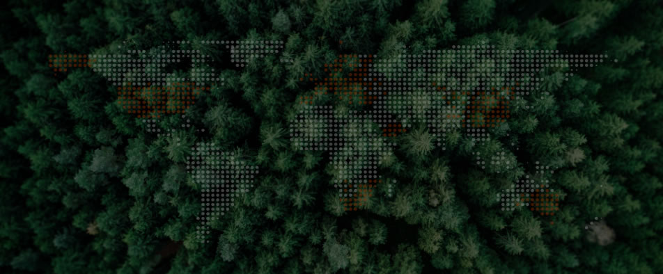 AG8亚洲游戏全球零碳案例