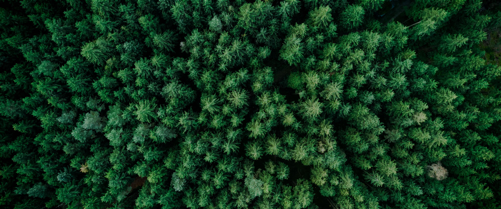 加速天下零碳能源革命 推动地球绿色生态生长 爱蓄电池出货量凌驾130GW